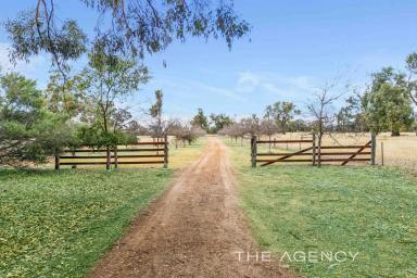 House For Sale - WA - Morangup - 6083 - A SECOND OPPORTUNITY! (Image 2)