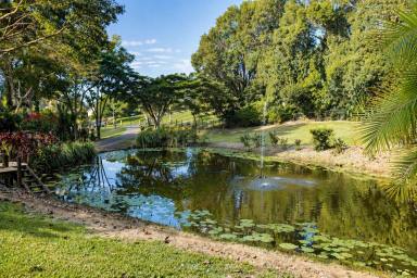 House For Sale - QLD - Cooroy - 4563 - Noosa Hinterland Retreat with Private Dam  (Image 2)