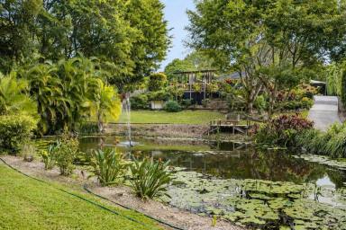 House For Sale - QLD - Cooroy - 4563 - Noosa Hinterland Retreat with Private Dam  (Image 2)