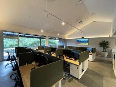 Office(s) For Lease - NSW - Byron Bay - 2481 - Large Modern Office in a Sought-After Business Precinct  (Image 2)