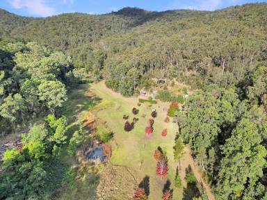 Lifestyle For Sale - NSW - Wollombi - 2325 - 'Birdsong' – Completely Private & Peaceful  (Image 2)