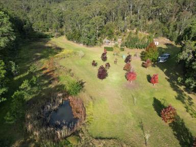 Lifestyle For Sale - NSW - Wollombi - 2325 - 'Birdsong' – Completely Private & Peaceful  (Image 2)