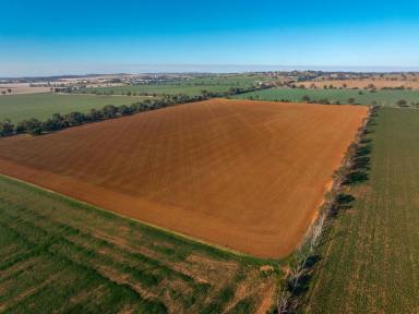 Mixed Farming Auction - NSW - Junee - 2663 - Boambee - Prestigious master built 4 – 5 bedroom residence  (Image 2)