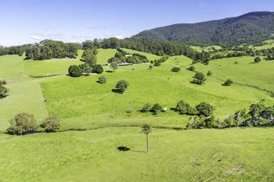 Livestock Auction - NSW - Central Tilba - 2546 - Brushgrove - A True South Coast Gem  (Image 2)