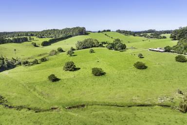 Livestock Auction - NSW - Central Tilba - 2546 - Brushgrove - A True South Coast Gem  (Image 2)