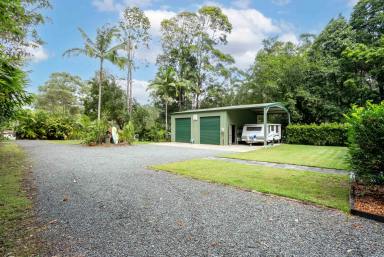 House For Sale - QLD - Lake Macdonald - 4563 - Picture-Perfect Acreage Living in the Noosa Hinterland  (Image 2)