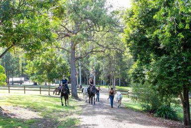 House For Sale - QLD - Pomona - 4568 - A Private Hinterland Retreat Created for Horses and Lifestyle Living  (Image 2)