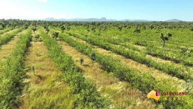 Other (Rural) For Sale - QLD - Bogie - 4805 - Strathalbyn Station  (Image 2)