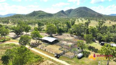 Other (Rural) For Sale - QLD - Bogie - 4805 - Tabletop Station  (Image 2)