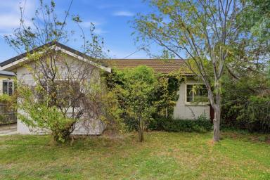 House For Lease - TAS - Goodwood - 7010 - Great Family Living  (Image 2)