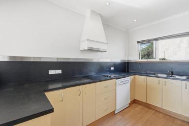 Unit For Lease - TAS - Sandy Bay - 7005 - Functional living  (Image 2)