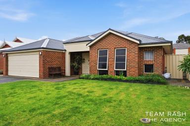 House For Sale - WA - Banksia Grove - 6031 - A Grand Slam Winner With Space & Style  (Image 2)
