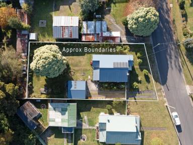 House For Sale - TAS - Maydena - 7140 - Family Comfort on the Edge of Tasmania's Wilderness  (Image 2)