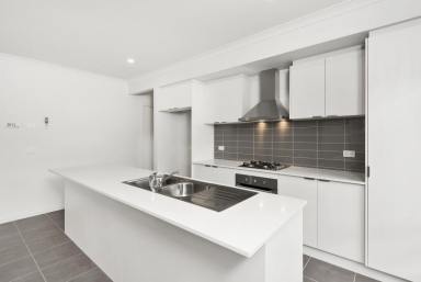House For Lease - VIC - Greenvale - 3059 - FOUR BEDROOM FAMILY HOME IN PRIME LOCATION | SPACIOUS & STYLISH LIVING  (Image 2)
