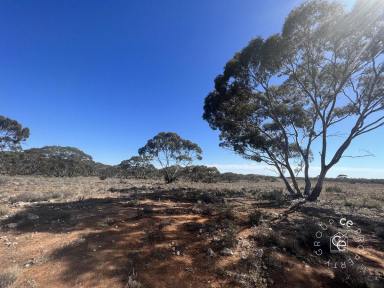 Other (Rural) For Sale - SA - Swan Reach - 5354 - Be at one with nature  (Image 2)