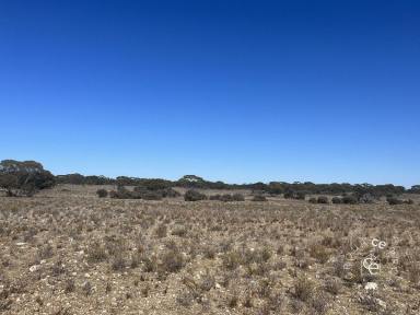 Other (Rural) For Sale - SA - Swan Reach - 5354 - Be at one with nature  (Image 2)