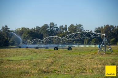 Lifestyle For Sale - NSW - Gloucester - 2422 - Gloucester's Trophy Country Estate  (Image 2)
