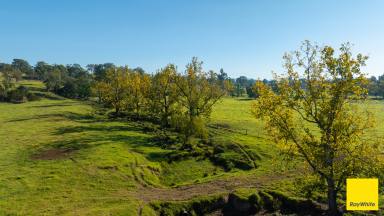 Lifestyle For Sale - NSW - Gloucester - 2422 - Gloucester's Trophy Country Estate  (Image 2)
