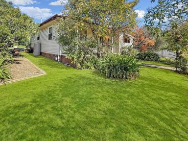 House For Sale - NSW - Young - 2594 - Large Block, Close to Town, Potential, Potential, Potential  (Image 2)