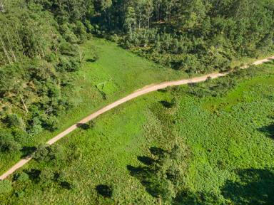 Residential Block For Sale - NSW - Putty - 2330 - Unrivalled Opportunity: Significant 1,593 Acre Land Holding in Putty (Image 2)