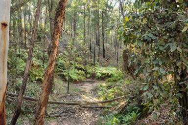 Residential Block For Sale - NSW - Putty - 2330 - Unrivalled Opportunity: Significant 1,593 Acre Land Holding in Putty  (Image 2)