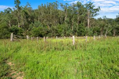Residential Block For Sale - NSW - Putty - 2330 - Unrivalled Opportunity: Significant 1,593 Acre Land Holding in Putty  (Image 2)
