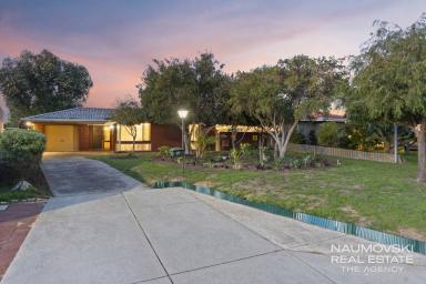 House For Sale - WA - Balcatta - 6021 - HUGE BLOCK! ENDLESS POTENTIAL!  (Image 2)