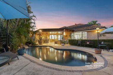 House For Sale - WA - Ellenbrook - 6069 - POOLSIDE PARADISE FOR THE WHOLE FAMILY! (Image 2)