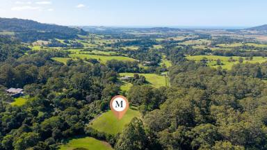 Residential Block For Sale - NSW - Jaspers Brush - 2535 - Jaspers Brush Trophy Pocket  (Image 2)