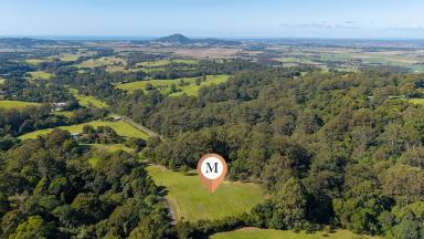 Residential Block For Sale - NSW - Jaspers Brush - 2535 - Jaspers Brush Trophy Pocket  (Image 2)