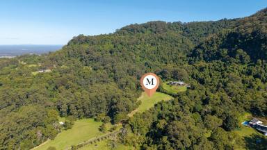 Residential Block For Sale - NSW - Jaspers Brush - 2535 - Jaspers Brush Trophy Pocket  (Image 2)