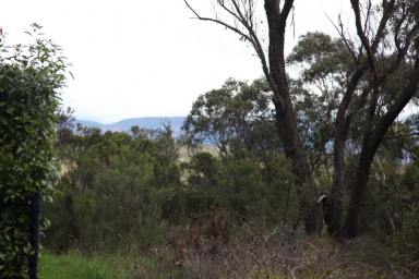 Residential Block For Sale - NSW - Wentworth Falls - 2782 - Vacant Land with Escarpment Views  (Image 2)