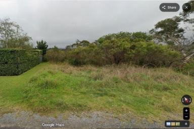 Residential Block For Sale - NSW - Wentworth Falls - 2782 - Vacant Land with Escarpment Views  (Image 2)