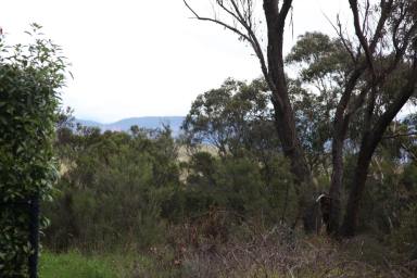 Residential Block For Sale - NSW - Wentworth Falls - 2782 - Vacant Land with Escarpment Views (Image 2)