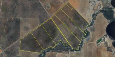 Commercial Farming For Lease - VIC - Bael Bael - 3579 - Rural Lease of 1917 acres in Northern Victoria  (Image 2)