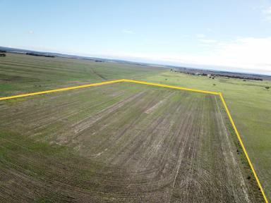 Residential Block For Sale - WA - Hopetoun - 6348 - Open vista over farmland towards Mt Barren  (Image 2)