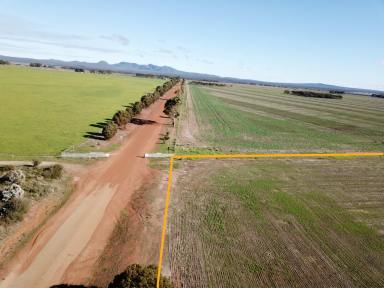 Residential Block For Sale - WA - Hopetoun - 6348 - Open vista over farmland towards Mt Barren  (Image 2)
