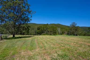 Residential Block For Sale - QLD - Cedar Creek - 4520 - Scenic 5.75 Acre Retreat with Dam, Bore & Endless Potential  (Image 2)