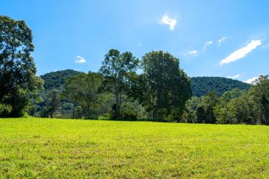 Residential Block For Sale - QLD - Cedar Creek - 4520 - Scenic 5.75 Acre Retreat with Dam, Bore & Endless Potential  (Image 2)