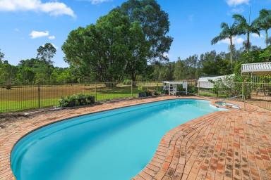House For Sale - NSW - Raymond Terrace - 2324 - SPACIOUS FAMILY LIVING WITH POOLSIDE ENTERTAINING ON 977 SQM BACKING RESERVE  (Image 2)