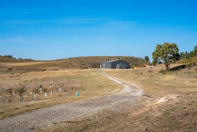 Lifestyle For Sale - NSW - Goulburn - 2580 - 100 Acres with Building Entitlement! (Image 2)