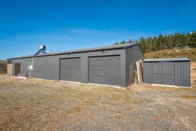 Lifestyle Auction - NSW - Goulburn - 2580 - 100 Acres with Building Entitlement!  (Image 2)