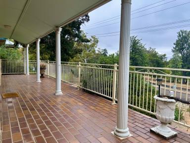 House For Lease - NSW - Tamworth - 2340 - Top Home with a Top View (Image 2)