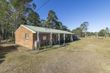 Mixed Farming For Sale - NSW - Elland - 2460 - 100 ACRES WITH TWO HOUSES  (Image 2)