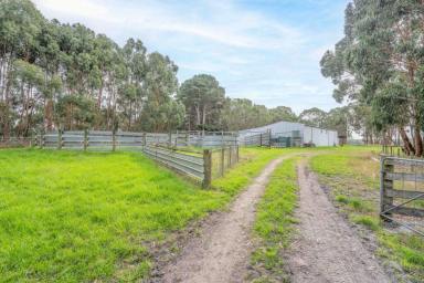 Mixed Farming For Sale - VIC - Gorae West - 3305 - Quality! Lifestyle! Location! (Image 2)