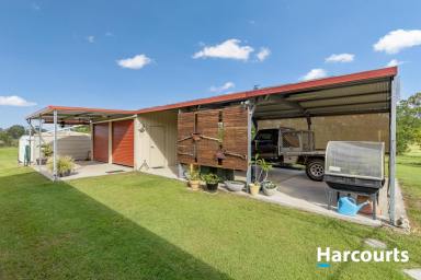 House For Sale - QLD - Redridge - 4660 - ACREAGE - BRICK HOME- ESTABLISHED FRUIT TREES  (Image 2)