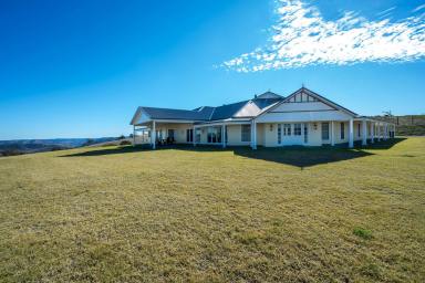 Lifestyle For Sale - NSW - Mudgee - 2850 - EXCEPTIONAL PROPERTY - EXCEPTIONAL VIEWS  (Image 2)