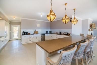 Lifestyle For Sale - NSW - Mudgee - 2850 - EXCEPTIONAL PROPERTY - EXCEPTIONAL VIEWS  (Image 2)