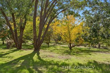 House For Sale - WA - Parkerville - 6081 - 5 Acre Parkland Paradise With Winter Creek  (Image 2)