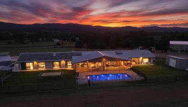 House For Sale - NSW - Bingara - 2404 - Huge Price Drop - A High-End Home with Commercial Flexibility  (Image 2)